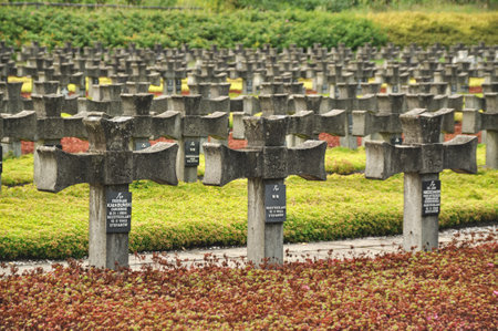 Rows of concrete crosses at a historic cemetery