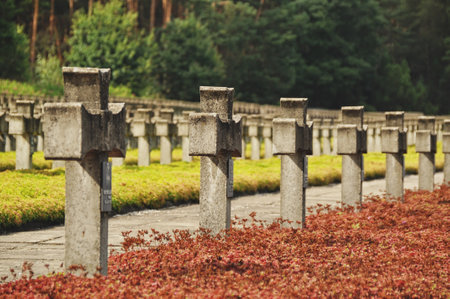 Rows of concrete crosses at a historic cemeteryの写真素材