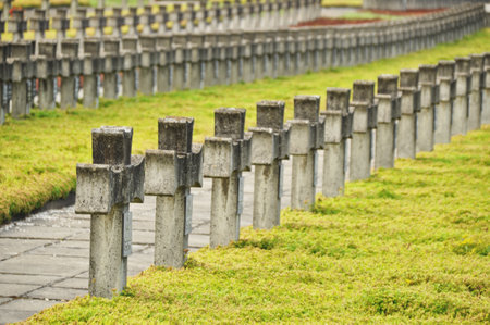 Rows of concrete crosses at a historic cemeteryの写真素材