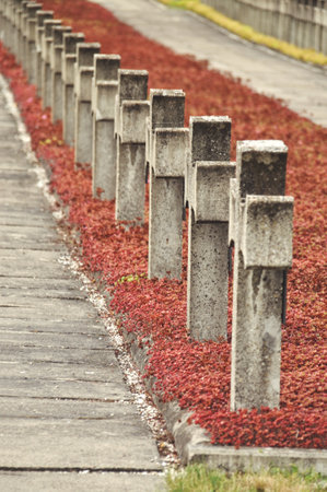 Rows of concrete crosses at a historic cemeteryの写真素材