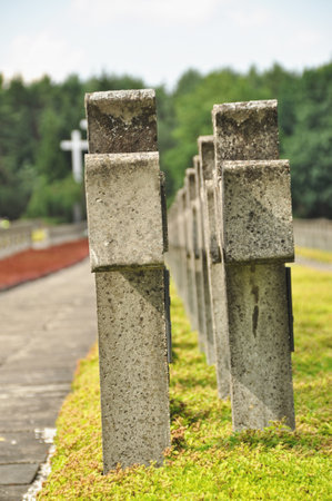 Rows of concrete markers at a historic cemeteryの写真素材