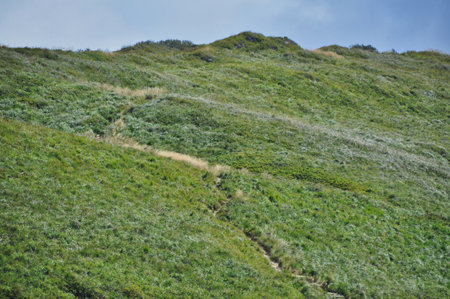 beautiful mountain landscape in the Bieszczady National Park; Bieszczady Mountains sunny dayの写真素材
