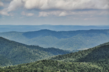 beautiful mountain landscape in the Bieszczady National Park; Bieszczady Mountains sunny day