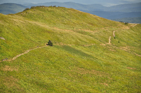 beautiful mountain landscape in the Bieszczady National Park; Bieszczady Mountains sunny dayの写真素材