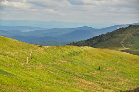 beautiful mountain landscape in the Bieszczady National Park; Bieszczady Mountains sunny dayの写真素材