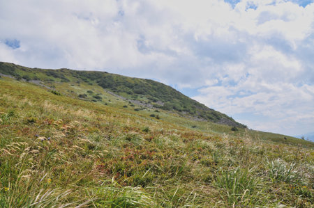 beautiful mountain landscape in the Bieszczady National Park; Bieszczady Mountains sunny dayの写真素材
