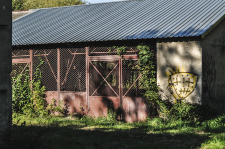 This evocative image captures old, abandoned warehouse buildings, heavily covered in rust and showing clear signs of decay, yet bathed in bright sunlight. They stand strikingly amidst vibrant greenery, creating a compelling contrast between industrial ruins and thriving nature. The photograph is ideal for themes related to urban exploration, decay, the passage of time, reclamation by nature, and the raw beauty found in forgotten industrial spaces.の写真素材