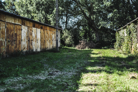 This evocative image captures old, abandoned warehouse buildings, heavily covered in rust and showing clear signs of decay, yet bathed in bright sunlight. They stand strikingly amidst vibrant greenery, creating a compelling contrast between industrial ruins and thriving nature. The photograph is ideal for themes related to urban exploration, decay, the passage of time, reclamation by nature, and the raw beauty found in forgotten industrial spaces.の写真素材