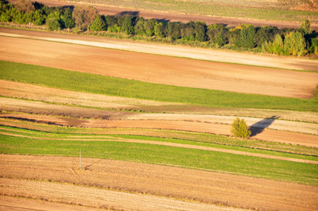 Aerial view of vast patchwork fields in Poland; Drone view of Polish countryside and cultivated...