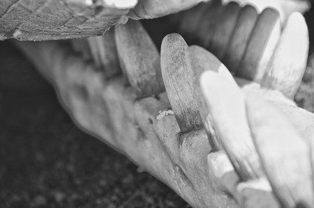 Whale bones on El Golfo beach, Lanzaroteの写真素材