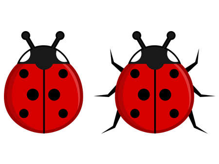 Ladybugのイラスト素材