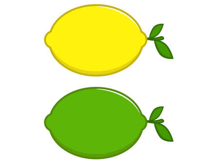 Lemon and Green Limeのイラスト素材