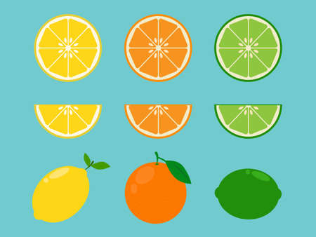 Vitamin C Fruit in flat design styleのイラスト素材