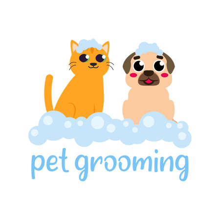 pet grooming, cat and dog bathing vector illustrationのイラスト素材