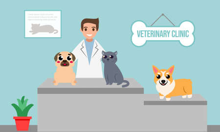 Veterinarian and doctor with dog and cat on counter in vet clinic. Vector illustration flat cartoonのイラスト素材