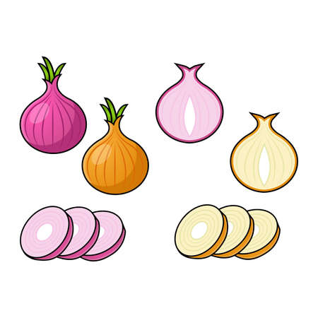 onion set. Cut in half, slice and onion rings. Isolated vector illustrationのイラスト素材