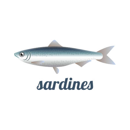 sardines fish isolated vector illustrationのイラスト素材