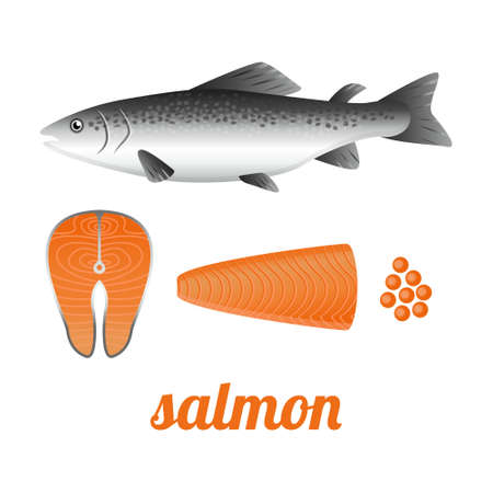 Salmon whole red fish, raw steaks and fillet, vector illustrationのイラスト素材