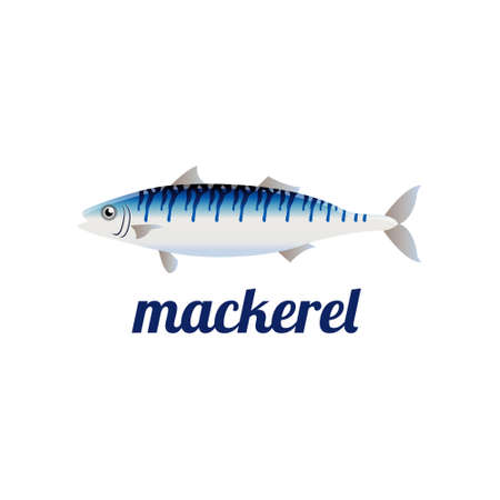 mackerel fish isolated vector illustrationのイラスト素材