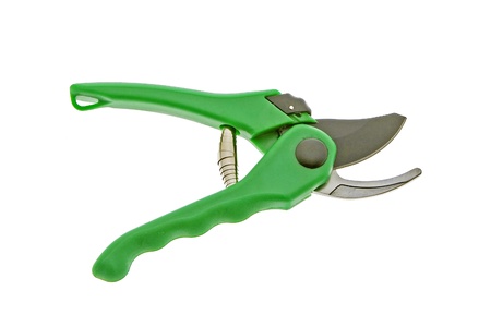 green garden shear isolated on white background