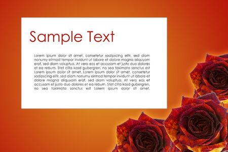 greeting card with roses for weddingの写真素材