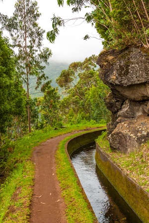 Madeira, hiking along irrigation channel (Levada)の写真素材