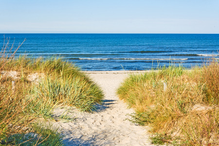 beach access, pathway to the baltic sea with marram grass aside