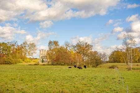 Berlin, Germany - October 27, 2013: Old ruin at Peacock Island / lake Wannsee. A nearby recreational area of Berlin.のeditorial素材