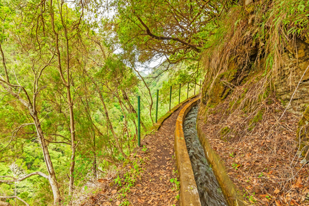 Madeira, hiking along irrigation channel (Levada)の写真素材