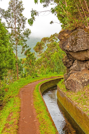 Madeira, hiking along irrigation channel (Levada)の写真素材