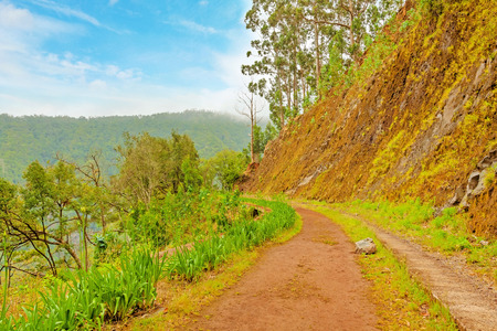 Madeira, hiking along irrigation channel (Levada)の写真素材
