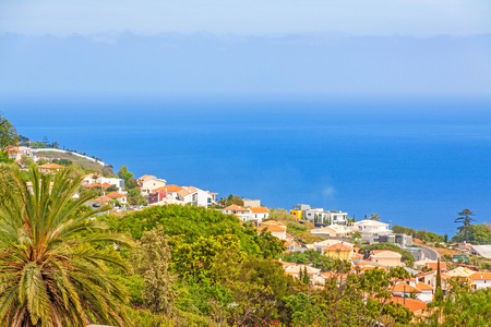 Madeira - coast of Funchal - palm trees and houses at hillside, Atlantic Ocean in the backgroundの写真素材