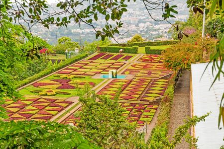Funchal, Portugal - June 03, 2013: Botanical garden "Jardim Botanico" in Funchal, Madeira. A famous tourist destination on the island Madeira.のeditorial素材