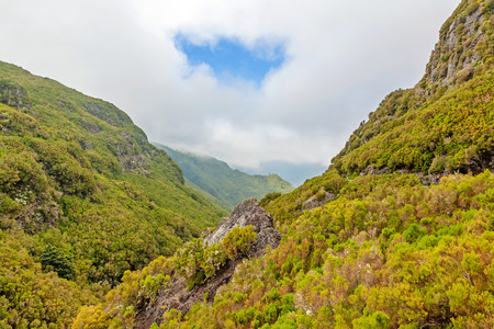 Madeira - green tropical natural landscapeの写真素材