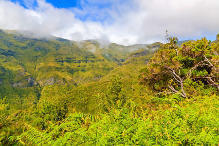 The magnificent inland of the island of Madeiraの写真素材