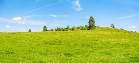 Green meadow hill with trees and blue sky - rural natural landscapeの写真素材