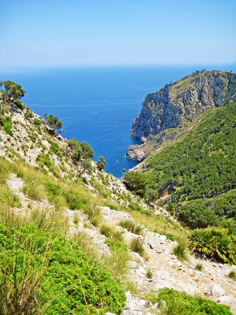 Coll Baix famous bay with beach, Majorca, Spain - view from aboveの写真素材