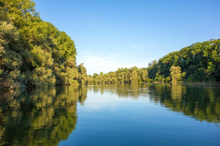 idyllic water landscape, lake with trees aroundの写真素材