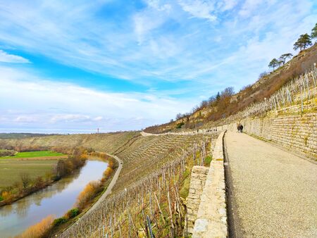 Path through vineyards near rocks of the Hessigheimer Felsengaerten with river Neckar in backgroundの写真素材
