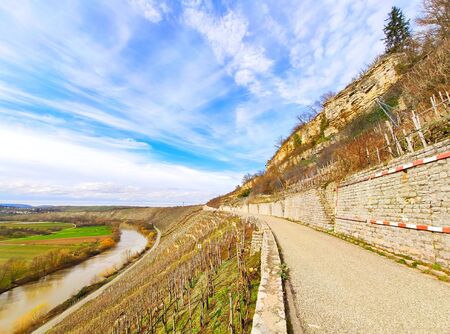 Path through vineyards near rocks of the Hessigheimer Felsengaerten with river Neckar in backgroundの写真素材