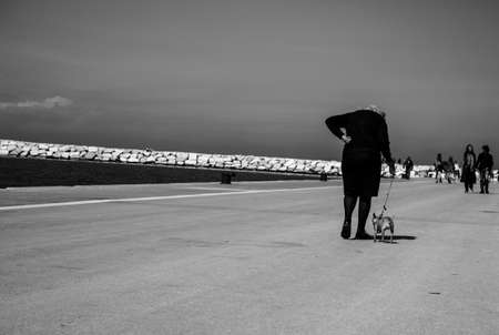 Grandmother walking with the dog along the harborのeditorial素材