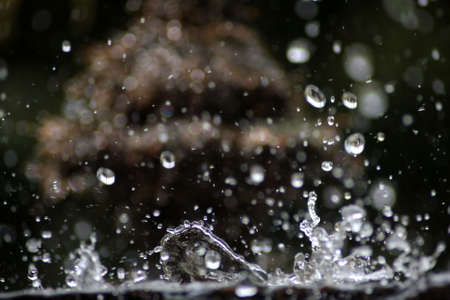 Water Dropsの写真素材
