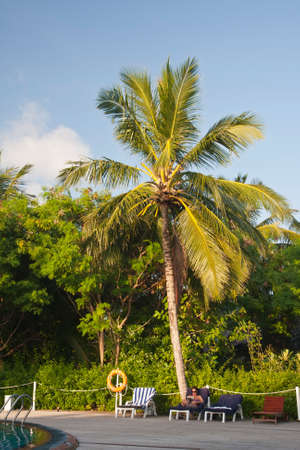 Maldivesのeditorial素材