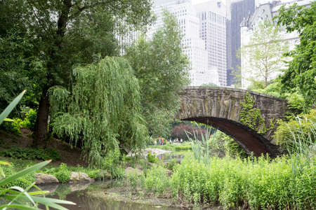 New York, a walk along Central Parkの写真素材