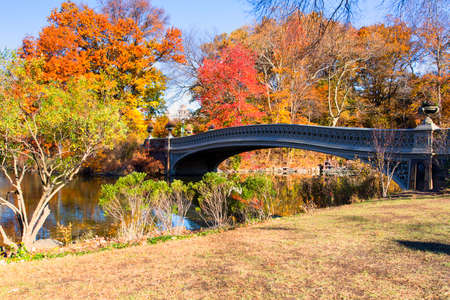 New York, a walk along Central Parkの写真素材
