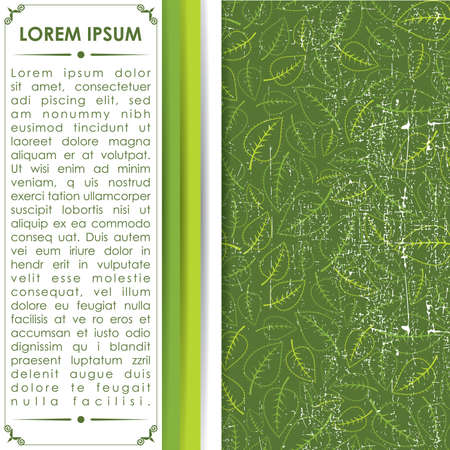 Floral cardのイラスト素材