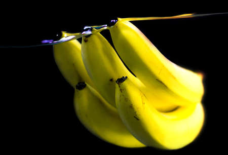 bananas in waterの写真素材