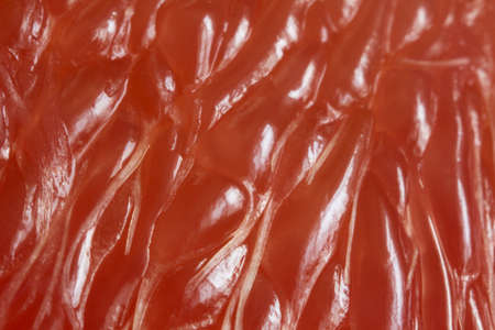 macro Grapefruit sliceの写真素材