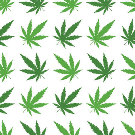Marijuana leavesのイラスト素材