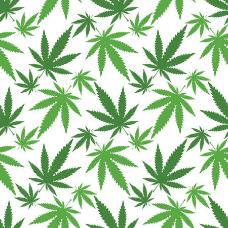 Marijuana leavesのイラスト素材